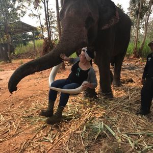 Meet your Posher, Diana